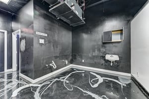31685821