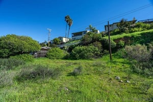 31648183