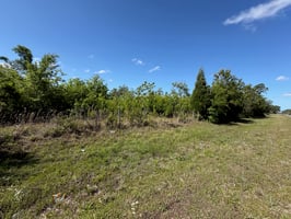 31648738
