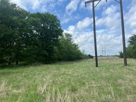 31653933