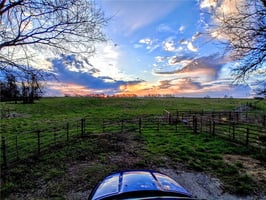 31654905