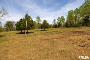 31654955