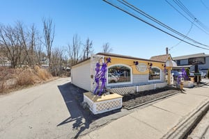 31655508