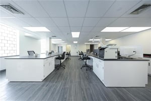 31657434