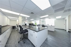 31682377