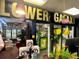 31657814