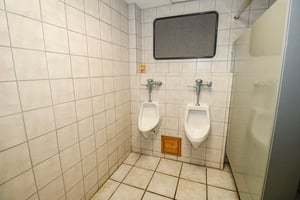 31735460