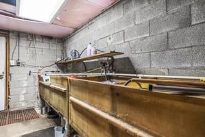 31665674