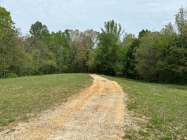 31663883