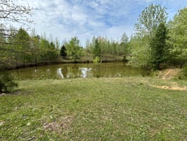 31663894