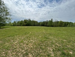31663886