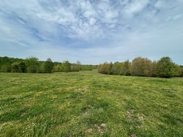 31663890