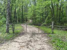 31663880