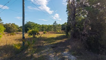 31663949