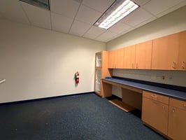 31664106