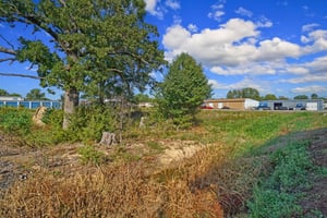 31664623