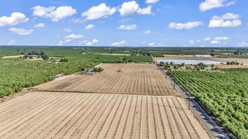 31775624
