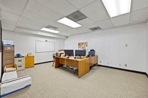 31666101