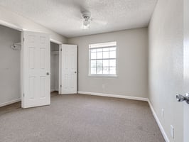 31665302