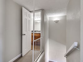 31665294