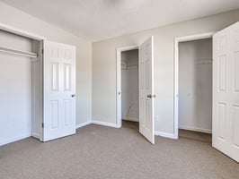 31665304