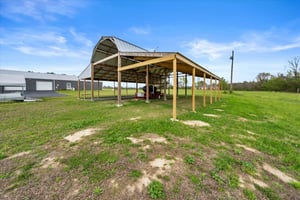 31666269