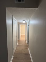 31667182