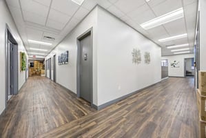 31667133