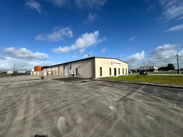31667781