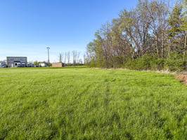 31668202