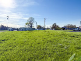 31668204