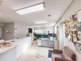 31668299