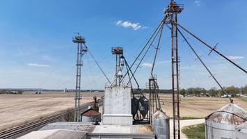31668262