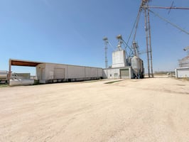 31668264