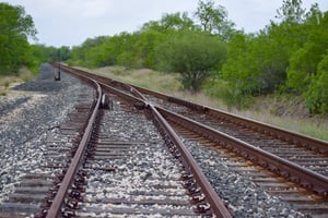 31669061