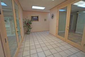 31669118