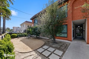 31671338