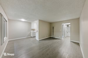 31671365