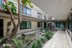 31671341