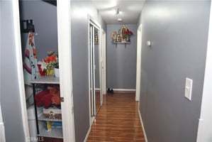 31720749