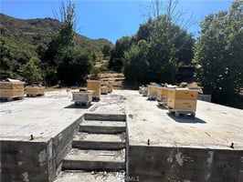 31672674