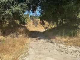 31672699
