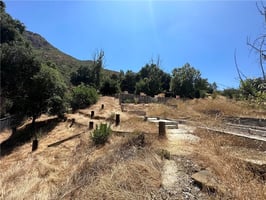 31672707