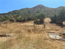 31672703
