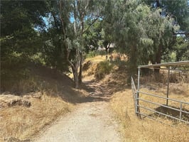 31672698