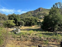 31672684