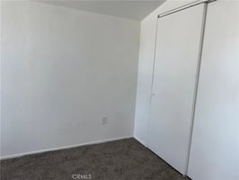 31673007