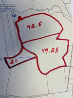 31676384