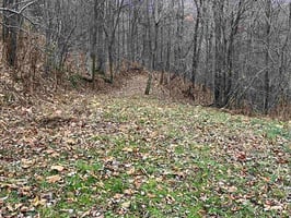 31676369