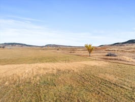 31676900